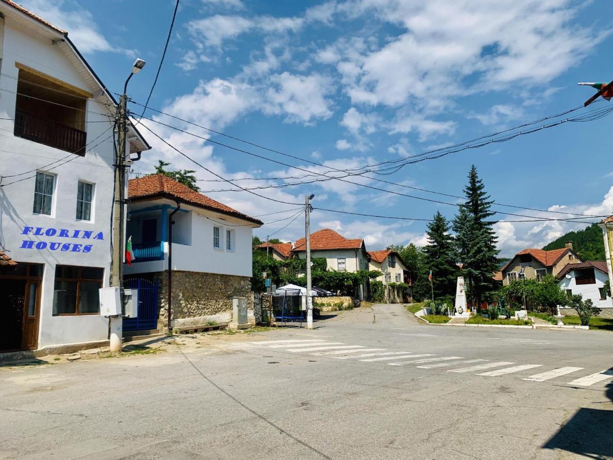 Цяла Ваканционна Къща- Florina Houses Hotel Goranovtsi Exterior photo